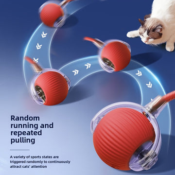 Pet Interactive Rolling Ball