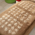 The Magic Brush™ - Buy 1 Get 1 Free